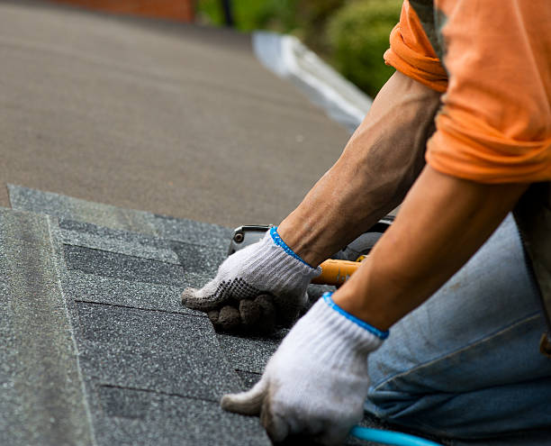 Best Flat Roof Repair Services  in Urbana, IL